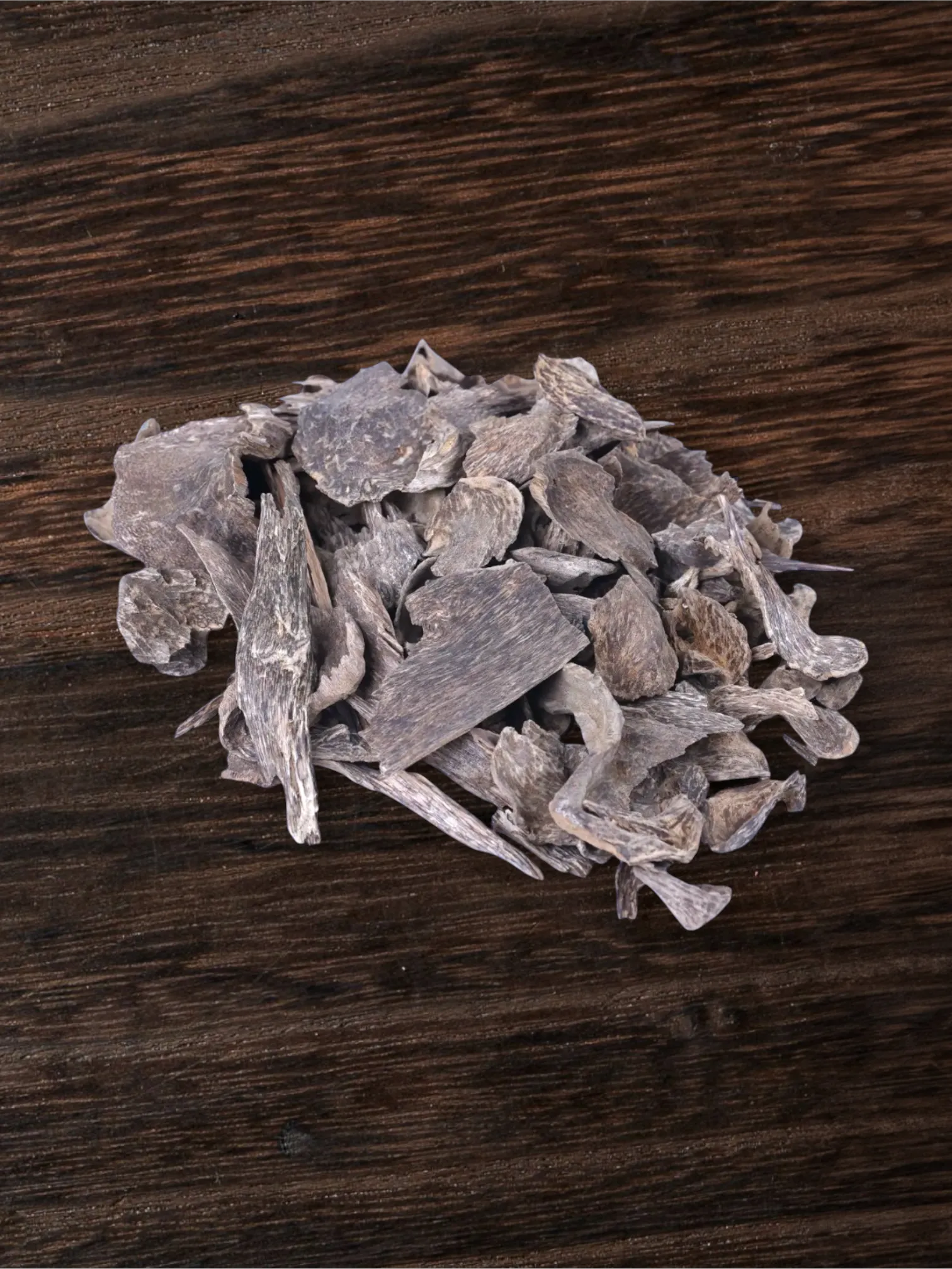 سمباوا يومي