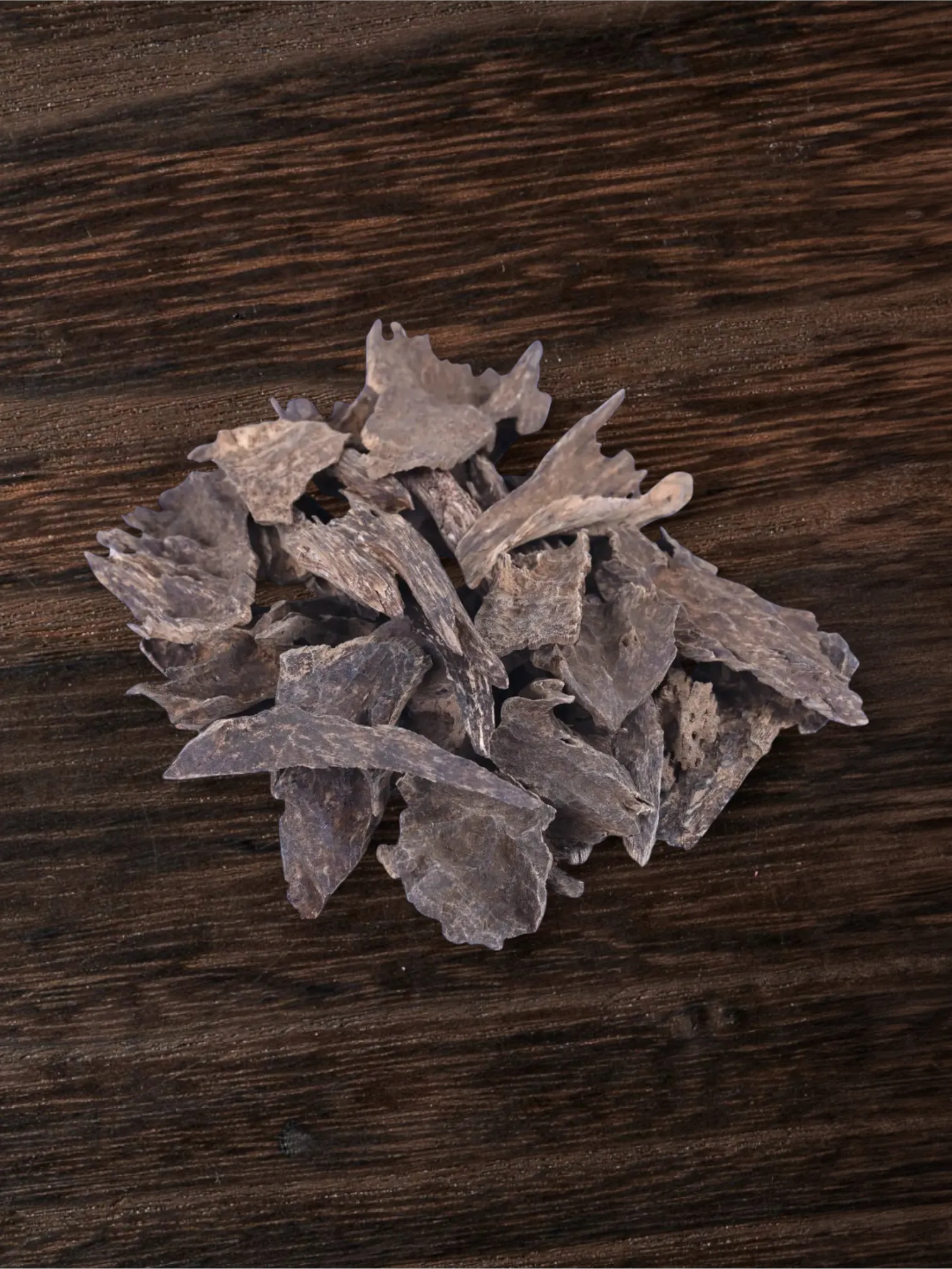 فيتنامي غابات